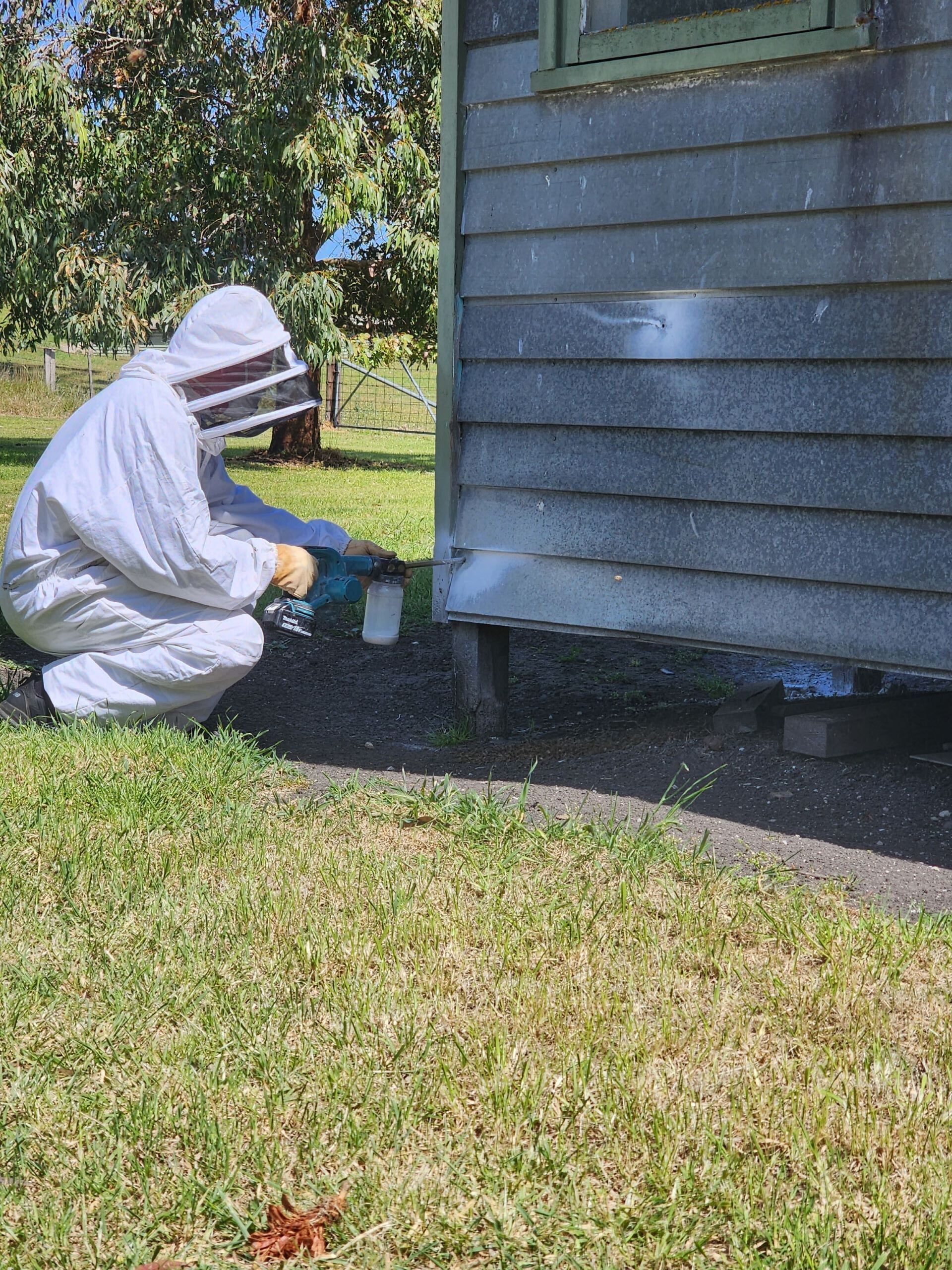 Bee Removal